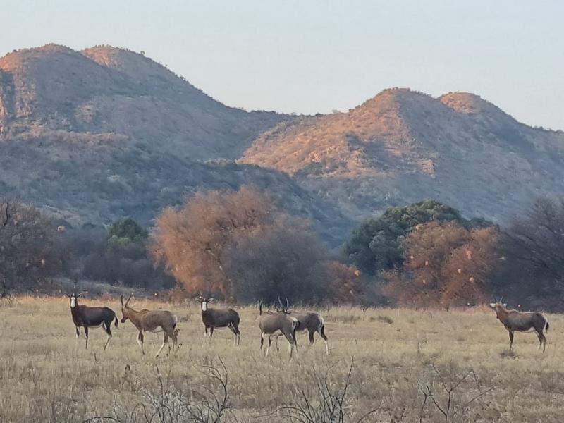 4 Bedroom Property for Sale in Vredefort Free State